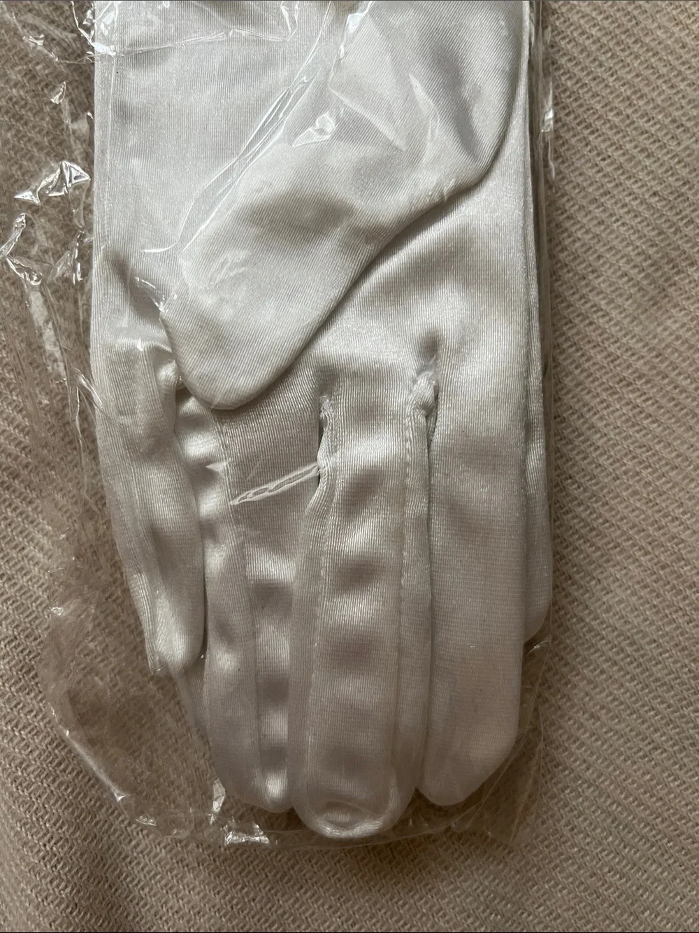 Ivory Satin Embroidered Opera Gloves